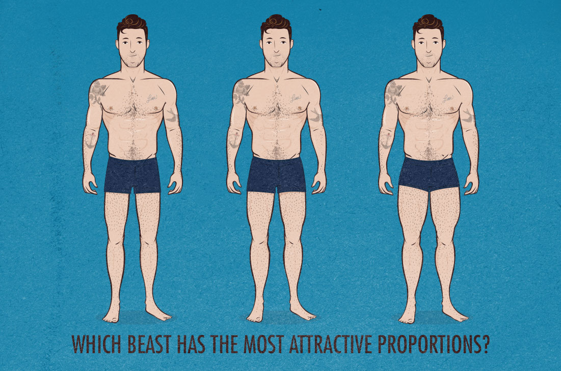 What are the Most Attractive Proportions? — Bony to Beastly